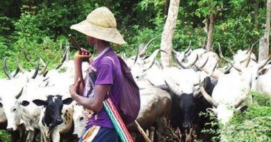 Suspected Herdsmen Kill Four Persons In Benue State