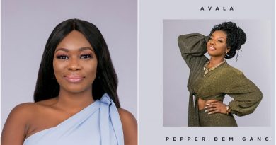 BBNAIJA 2019: Avala, Isilomo Evicted