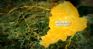 Boko Haram Ransacks Borno Villages As Army Withdraws From Battle Field