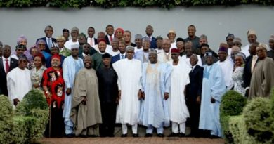 Buhari’s Cabinet Is ‘Heavily Political,’ Says Adebajo