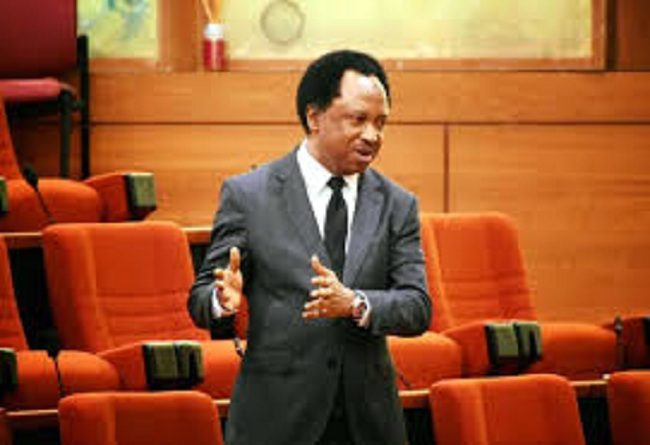 Caution Northern Politicians Eyeing 2023 Presidency, Shehu Sani Tells Buhari