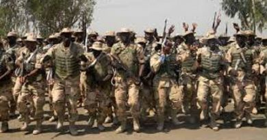 Insurgency: Army Intensifies Campaign In Lake Chad