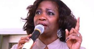 Dabiri-Erewa Appeals To State Governments To Assist Returnees From South Africa