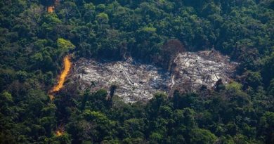 Rights Defender Shot Dead In Brazil’s Amazon