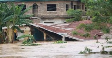 Flood Destroy 2,667 Houses, Farmlands In Niger State – NSEMA