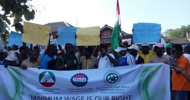 Labour Warns Of Industrial Crisis In Public Service Over Minimum Wage