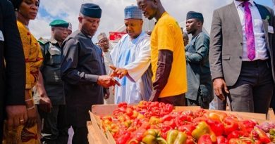 Buhari Will Take 100M Nigerians Out Of Poverty - Osinbajo