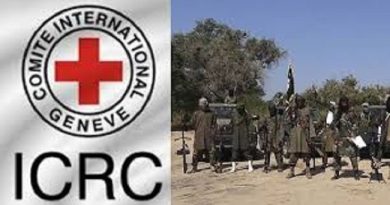 Boko Haram: Red Cross Reacts To Killing Of Aid Worker In Borno