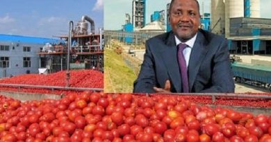 Dangote Tomato Plant In Kano Closed