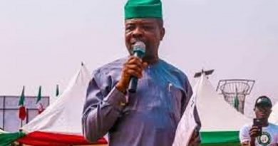 Ihedioha's Words On Diamond Scrutinized