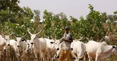 List Of New Igbo Villages Occupied By Fulani Herdsmen And What Igbo Youths Are Planning To Do