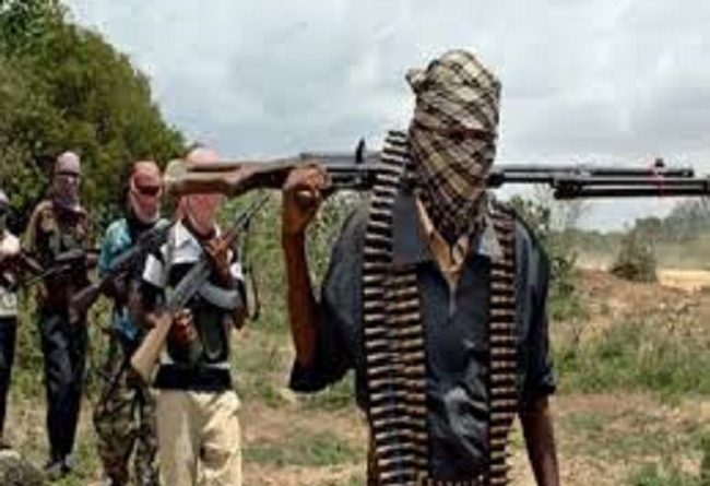 Gunmen Abduct Lawmaker’s Mother In Niger State