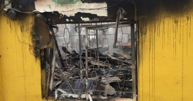 Xenophobic Attacks: Protesters Burn MTN Mast In Abuja