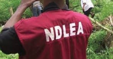 NDLEA Arrests 3 With 48,000 Tablets of Tramadol in Adamawa