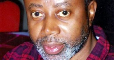 We ‘invited’ Chido Onumah To Avoid Mob Attack – DSS