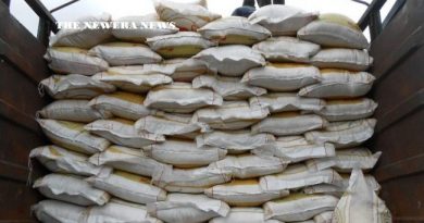 Report: Nigeria’s Border Crisis Fueled by Rice