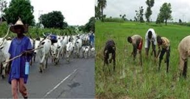 Farmers,Herders Sign Peace Agreement In Adamawa Community