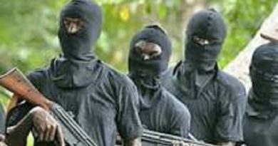 Gunmen Abduct Police DPO In Adamawa