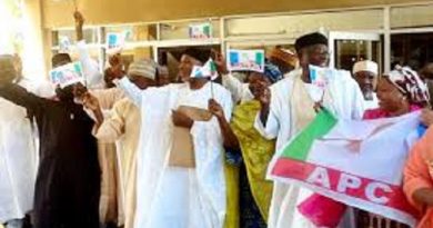 APC, Babachir Reject Results As PDP Clears Adamawa LGs Polls