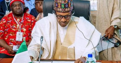 President Buhari Approves Visa-On-Arrival To All African Visitors To Nigeria