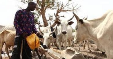 FG Begins Re-modelling Of Grazing Reserves Into Ranches In Adamawa,Plateau,Taraba, Others