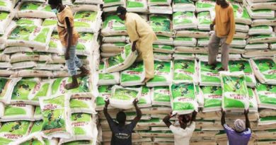 New Brands Of Local Rice Flood Major Markets, As Prices Drop