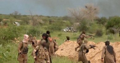 BREAKING: 9 Nigerian Soldiers Killed, Five Wounded In Fresh Boko Haram Ambush In Borno