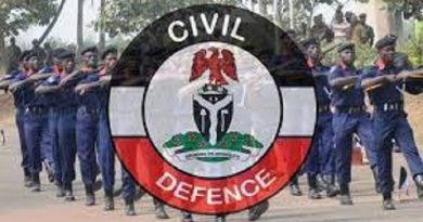 Civil Defence Arraign Vandal Over Crude Oil Theft