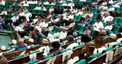 Reps Move To Stave Off Boko Haram Attacks