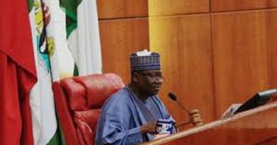 Senate Sets Up Panel For Security Reforms