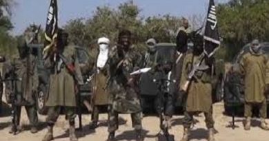 Boko Haram Terrorists Kill 30, Abduct Women And Children In Fresh Borno Attack