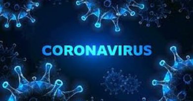 The Coronavirus 419