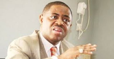 You Can't Jail Generator Users Until Power Is Made Available To All Nigerians, Fani-Kayode Warns FG