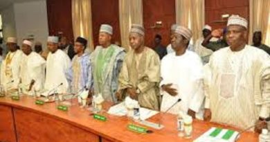 COVID-19: Why We Can’t Afford A Total LockDown -Northern Governors