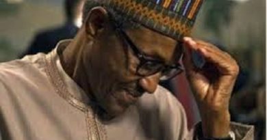 Armed Bandits Kill Pregnant Woman, 52 Others Behind President Buhari's Community In Katsina State