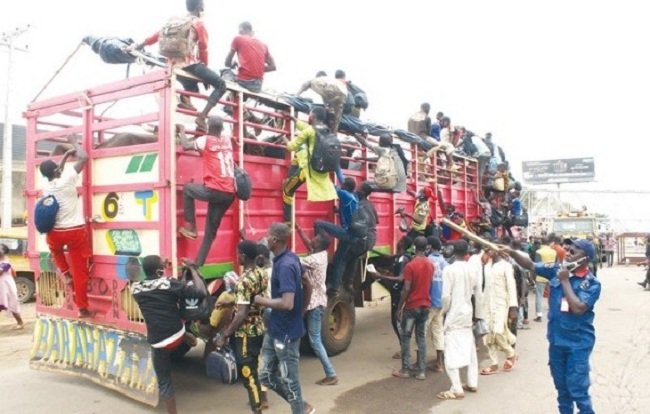 50 Unarmed Fulani Herdsmen Smuggled Into Lagos Intercepted In Truck Conveying Cows (Photo/Video)