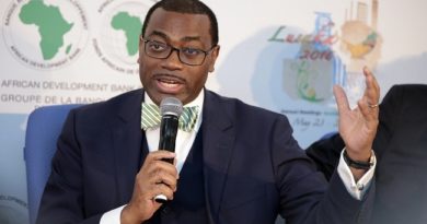 African Development Bank’s Akinwumi Adesina Fires Back, Denies Allegations Against Him