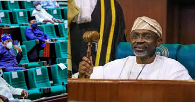 Allow Everyone To Get Guns And Defend Themselves In Nigeria – Reps Advocates