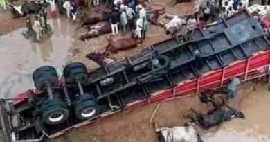 Fulani Cows, Goats And 44 Almajiris Crushed To Death As Trailer Heading To South East Crashed At The Lokoja Bridge