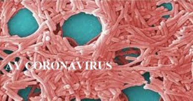 Breaking: AY Coronavirus May Attack The World After Coronavirus, Experts Warn