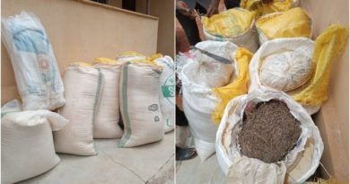 Just In: NDLEA Uncovers Cannabis Inside Garri Bags In Edo