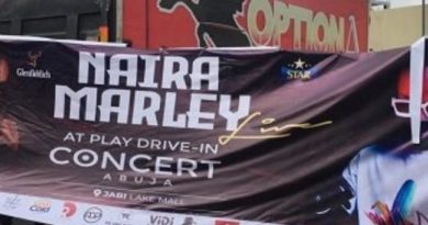 FCT Minister Vow To Prosecute Naira Marley, Others Over Concert