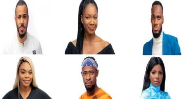 Meet The BBNaija 2020 Housemates, Their Biography, Profiles And Photos