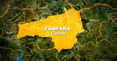 Nigerian Air Force Attacks Bandit's Camp, Kill Several In Zamfara Forest