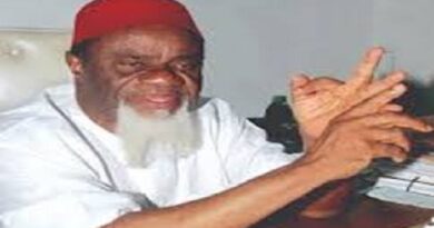 Kanu: What those familiar with Buhari told us after Igbo elders’ meeting – Ezeife