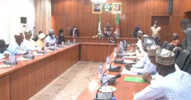 Terrorism: Northeast Governors Advocate Use Of Heavy Artillery By Police To Combat Banditry/Terrorism