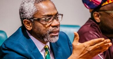 Be Productive, Self-Reliant, Gbajabiamila Charges Nigerian Youths