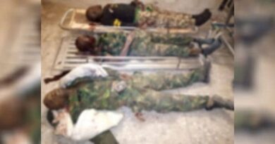 Nigerian Army Lose Personnel To Boko Haram Ambush Again