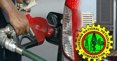 Remove Petrol Subsidy, Economic Council Tells Buhari