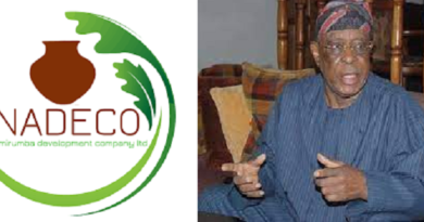 NADECO Send Strong Message to Buhari on Insecurity, Insists on Abrogation of 1999 Constitution